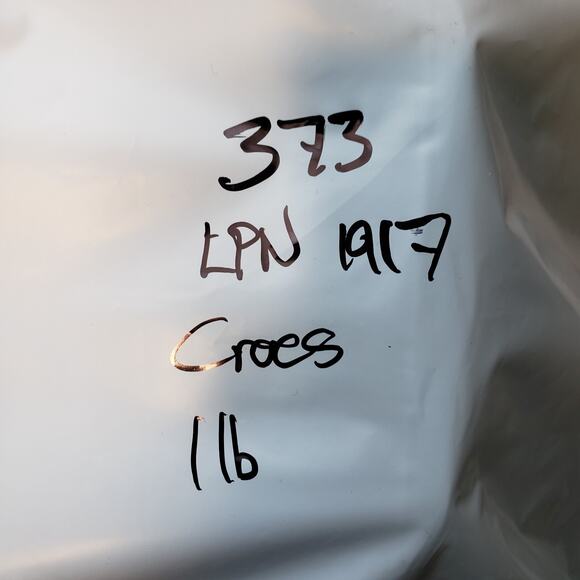 Crocs Sandals Mens 11 Black Classic Comfort Slides Summercore Coastalcore - Picture 7 of 7